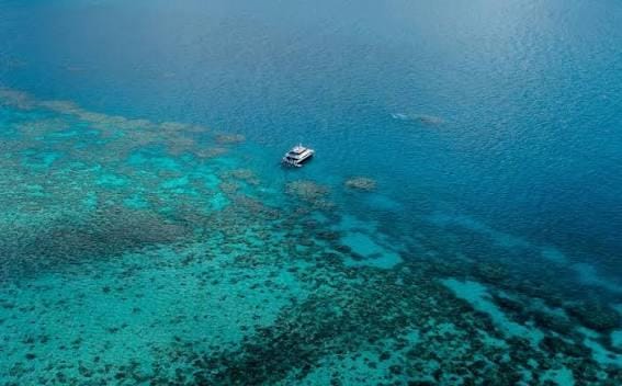 Researchers in Australia develop new tool to assess Great Barrier Reef health