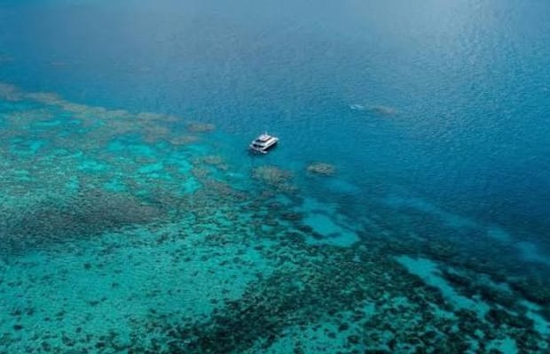 Researchers in Australia develop new tool to assess Great Barrier Reef health