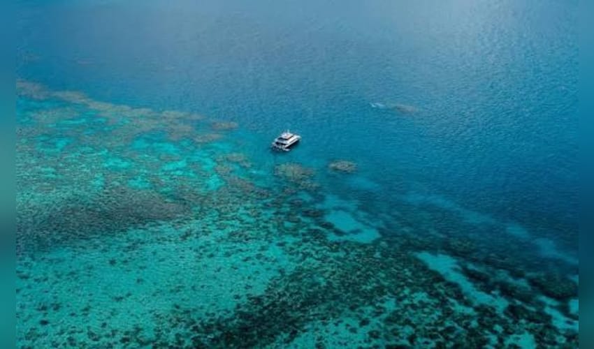 Researchers in Australia develop new tool to assess Great Barrier Reef health