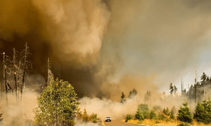 Fire Near Mt. Hood: Grasshopper Fire Forces Evacuations as Firefighters Battle Expanding Oregon Wildfire