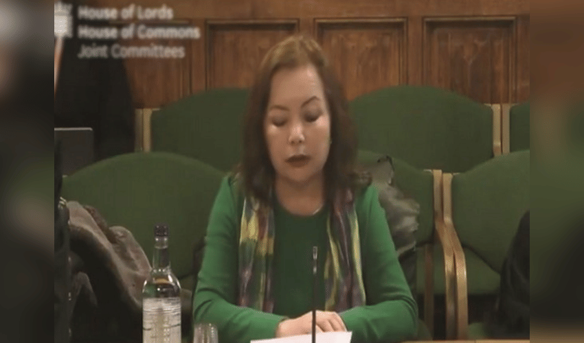International Youth Day: Rahima Mahmut Raises Alarm Over Alleged Erasure of Uyghur Identity Through Family Separation