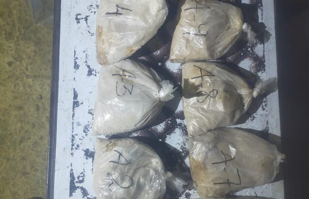 Six drug peddlers held in Assam and Manipur; narcotics worth Rs 23 crore seized