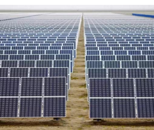 Solar expansion in China causes bird diversity decline: Report