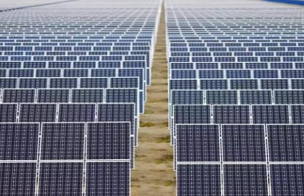 Solar expansion in China causes bird diversity decline: Report