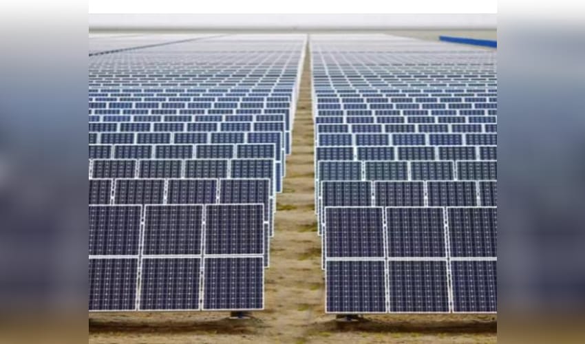 Solar expansion in China causes bird diversity decline: Report
