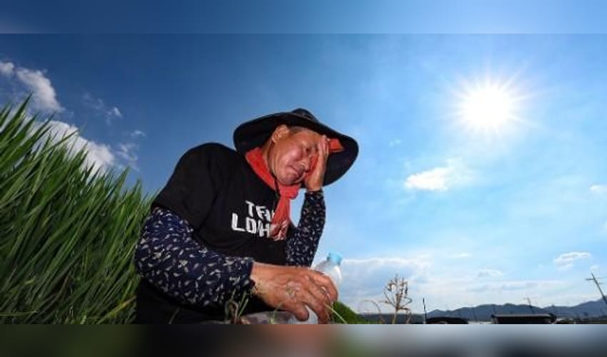 South Korea: Heat-related illness patients in late summer up threefold over past decade