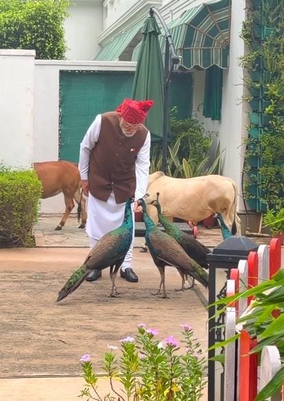 Special, as always: PM Modi shares heartwarming daily routine with 'friends'