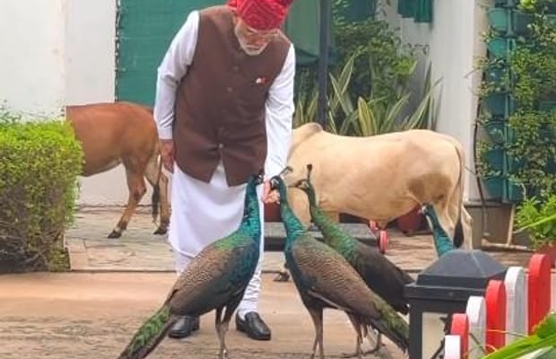 Special, as always: PM Modi shares heartwarming daily routine with 'friends'