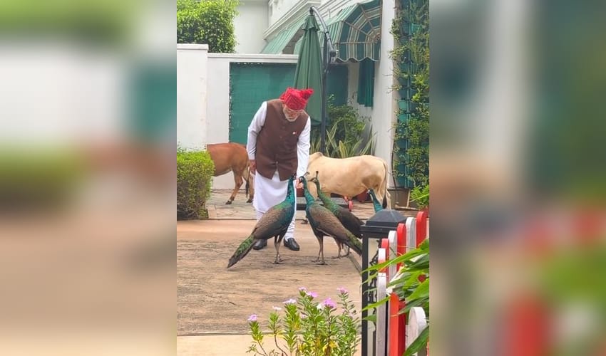 Special, as always: PM Modi shares heartwarming daily routine with 'friends'