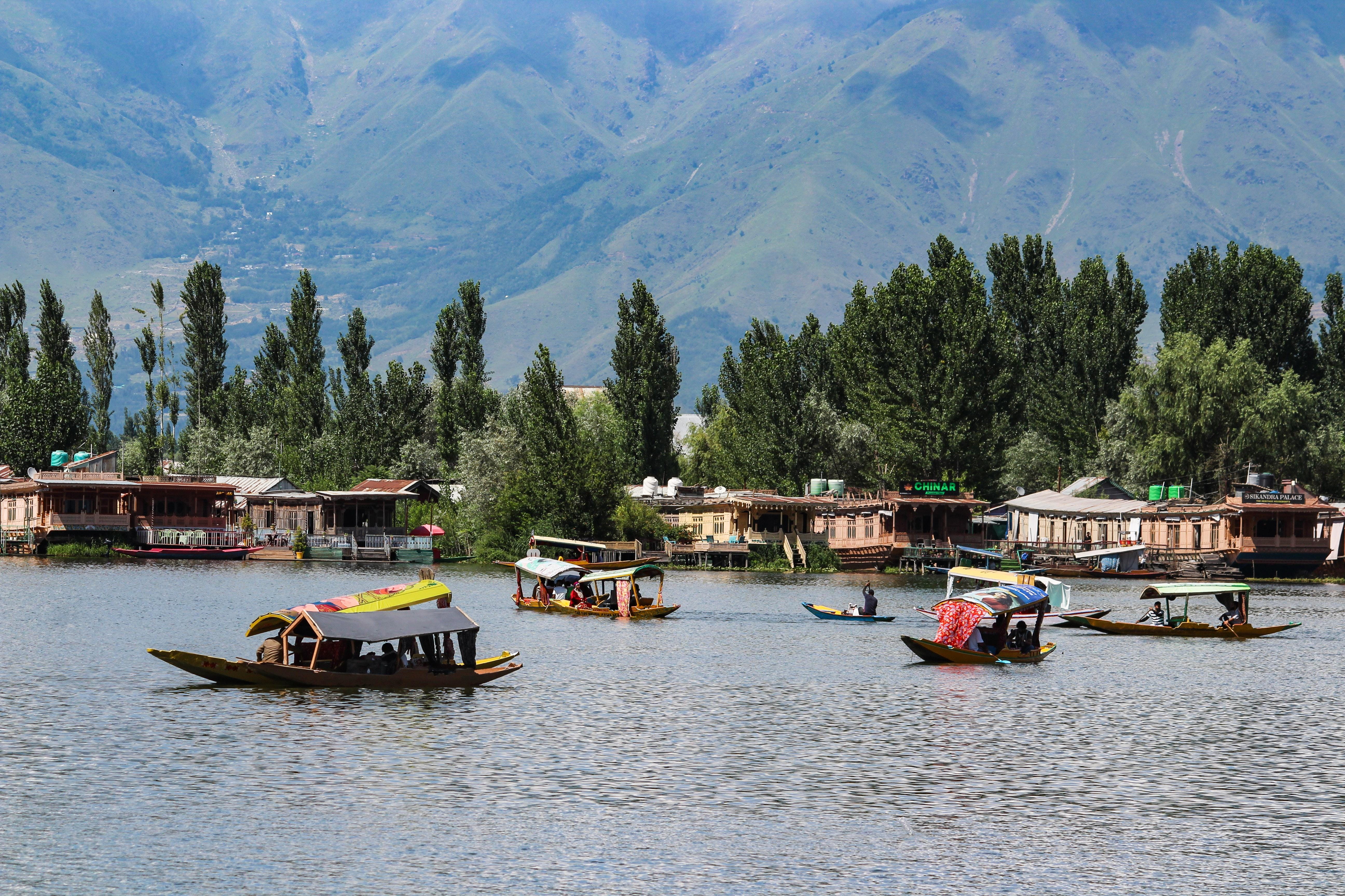 Srinagar: Tourists Enjoy Shikara Rides on Dal Lake
