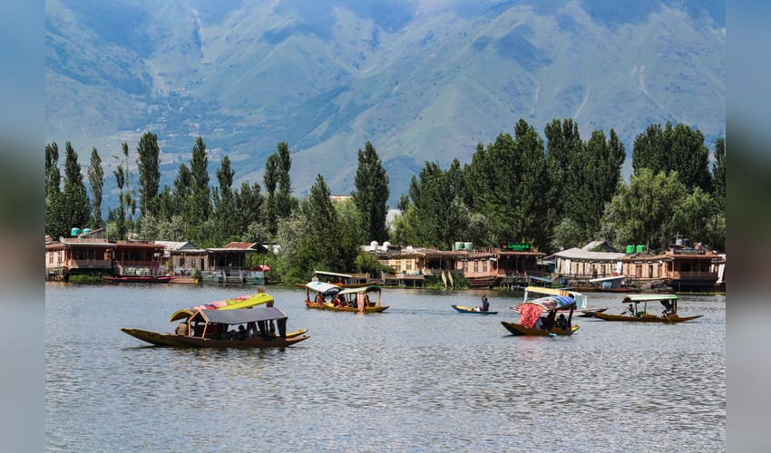 Srinagar: Tourists Enjoy Shikara Rides on Dal Lake
