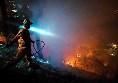 State-of-the-art research facility that aims to minimise forest fires opened in Himachal 