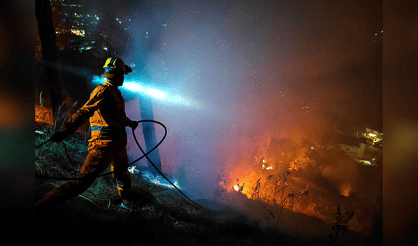 State-of-the-art research facility that aims to minimise forest fires opened in Himachal