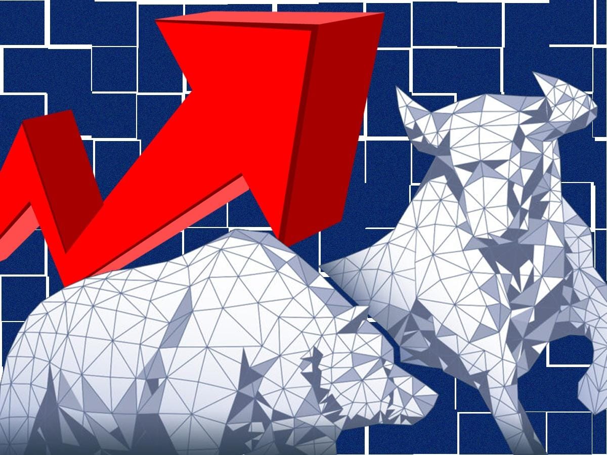 stock market,bull,bear,