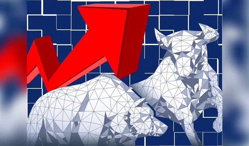 stock market,bull,bear,
