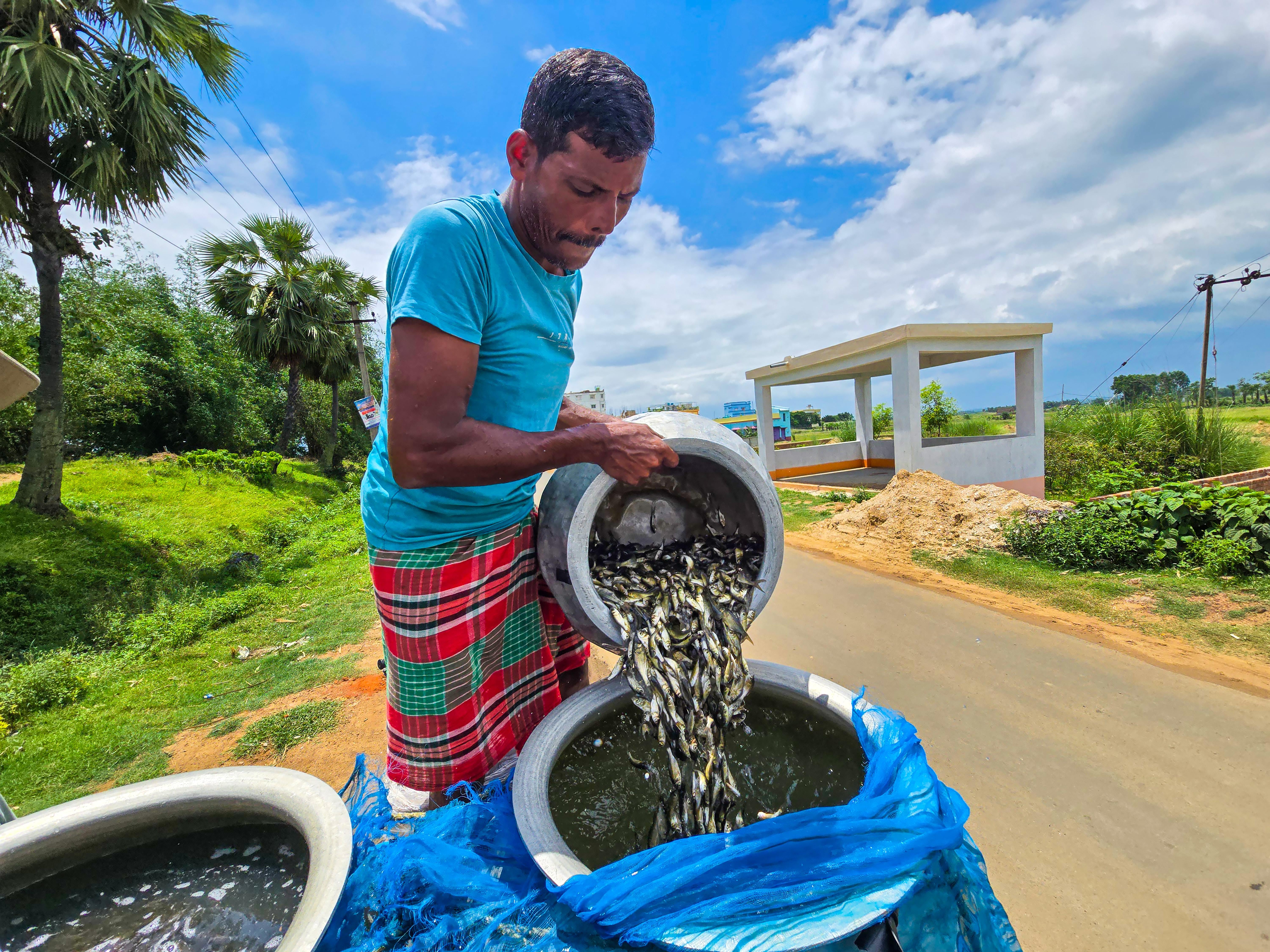 Suri: Fish Fingerlings Dispatched to Districts
