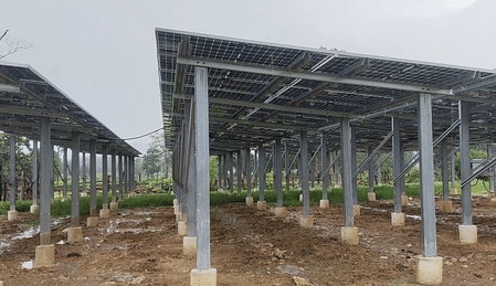 Thenhi becomes first solar village in Chhattisgarh’s Dhamtari, residents rejoice over benefits
