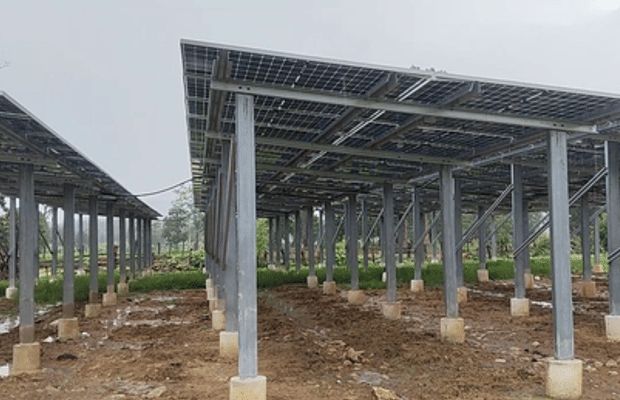 Thenhi becomes first solar village in Chhattisgarh’s Dhamtari, residents rejoice over benefits