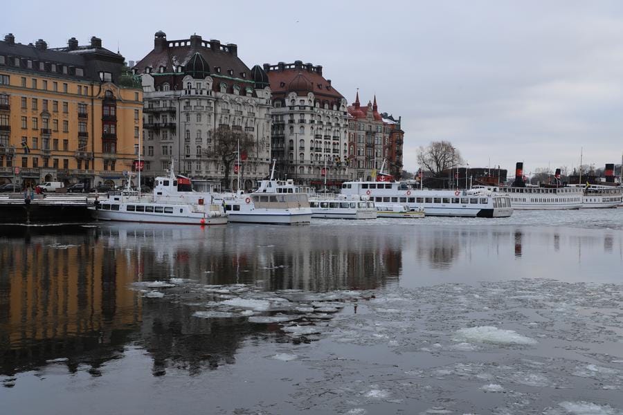 Thousands march in Stockholm for stronger climate action ahead of election