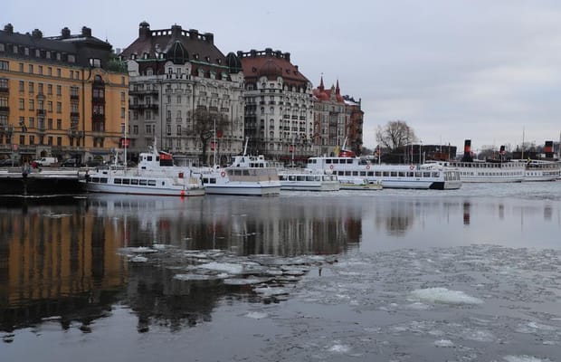 Thousands march in Stockholm for stronger climate action ahead of election