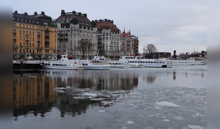 Thousands march in Stockholm for stronger climate action ahead of election