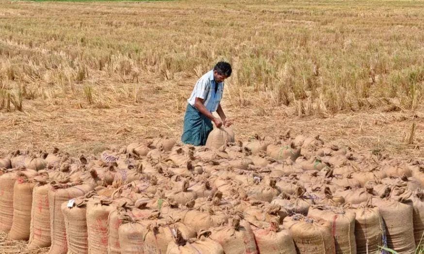 TN records all-time high paddy procurement of 64.2 lakh tonnes