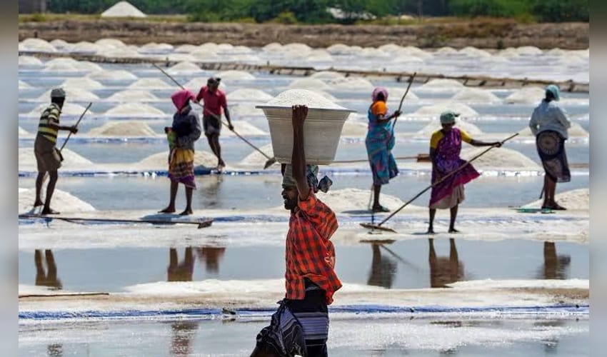 TN's Vedaranyam salt producers near annual target as summer heat boosts output