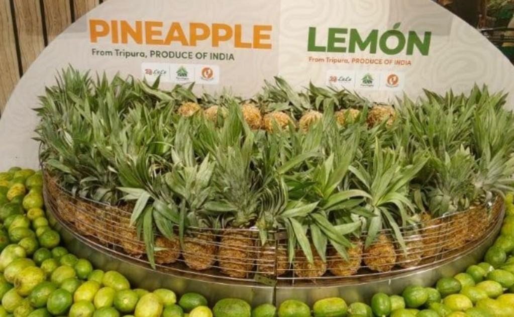 Tripura’s organic exports receive enthusiastic response in Dubai: Agri Minister (Photo: IANS)