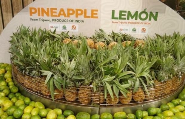 Tripura’s organic exports receive enthusiastic response in Dubai: Agri Minister (Photo: IANS)