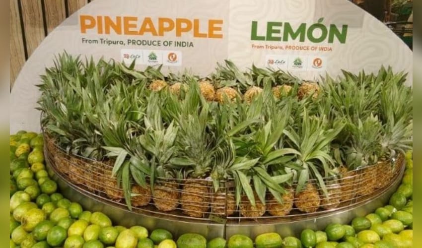 Tripura’s organic exports receive enthusiastic response in Dubai: Agri Minister (Photo: IANS)