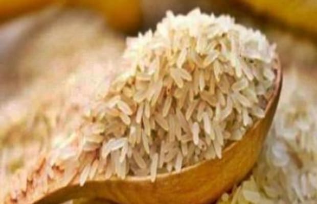 Use of broken rice for ethanol production is not impacting inflation: Govt