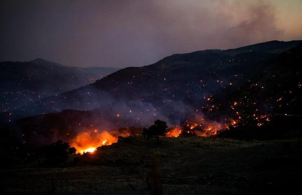 Wildfire in Netherlands not fully extinguished, but under control, says authorities
