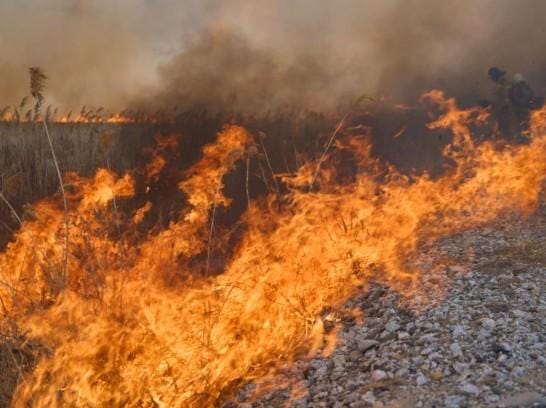 Wildfires intensify in Colombia amid El Nino conditions