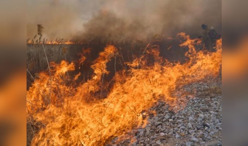 Wildfires intensify in Colombia amid El Nino conditions