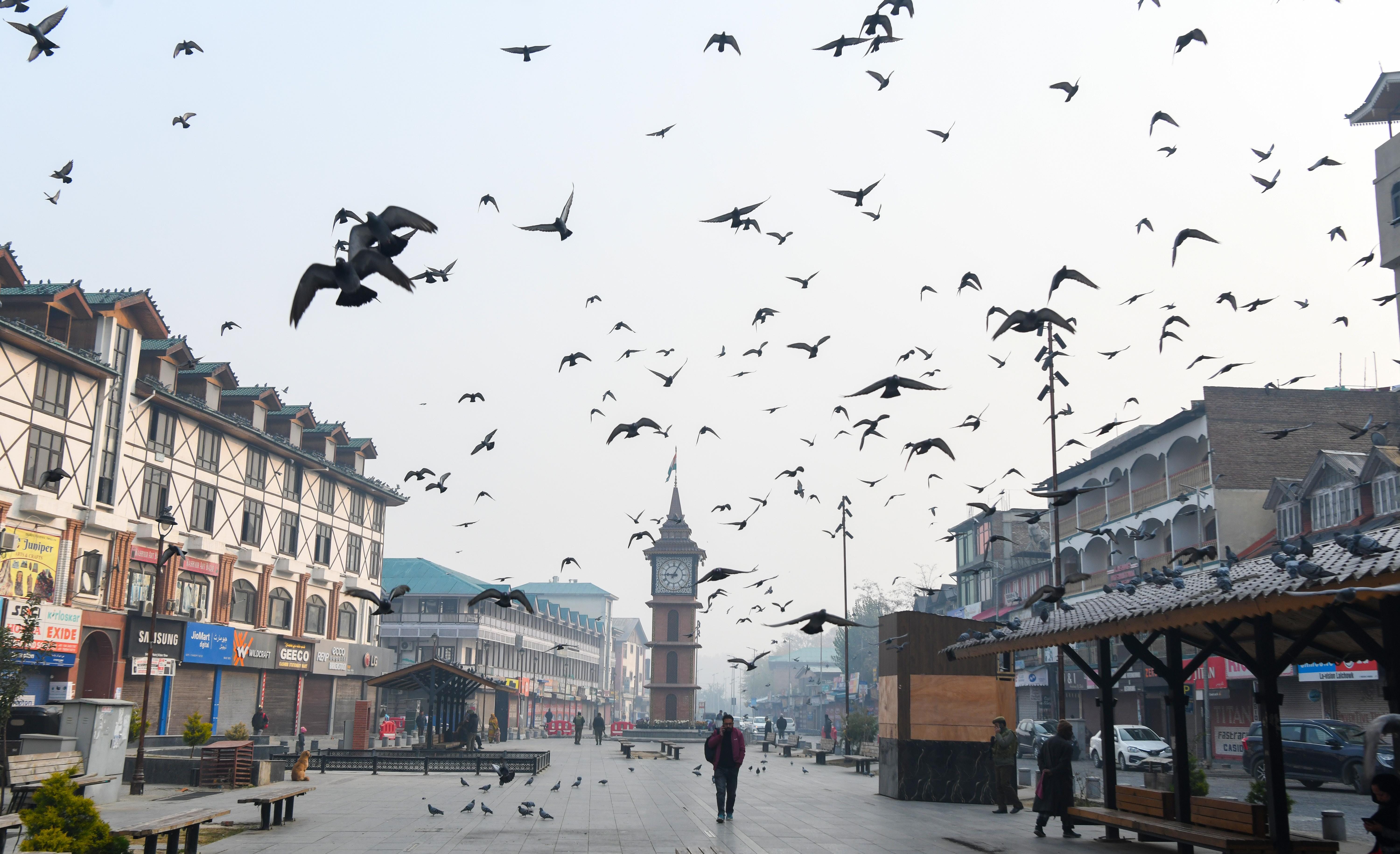 Winter Fog in Srinagar
