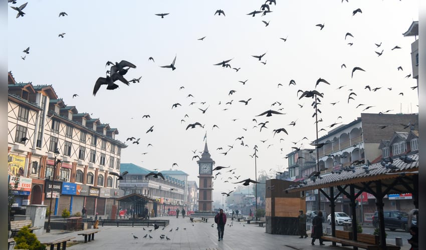 Winter Fog in Srinagar