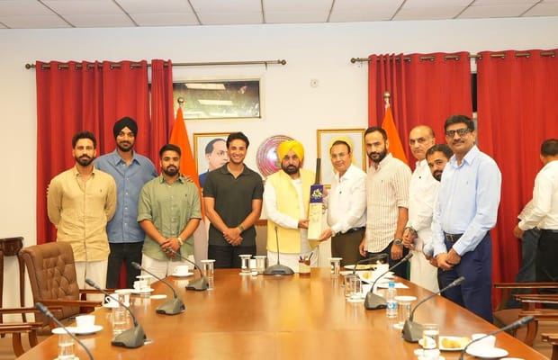 With 450 players, Punjab to host IPL-style T20 league from Aug 30